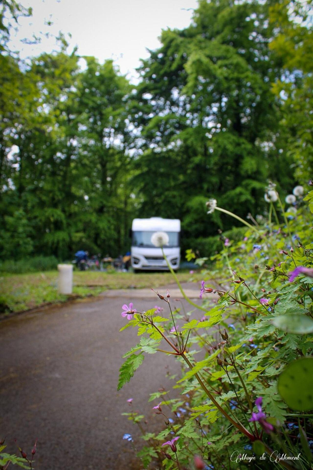 Camping La Sabliere Saint-Jans-Cappel Екстериор снимка